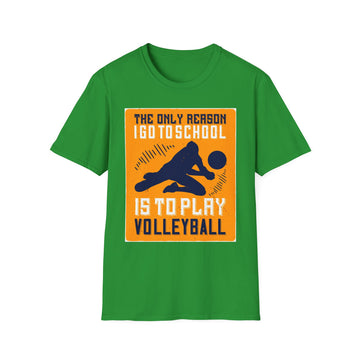 Volleyball Enthusiast Tee, Unisex Softstyle T-Shirt for Players