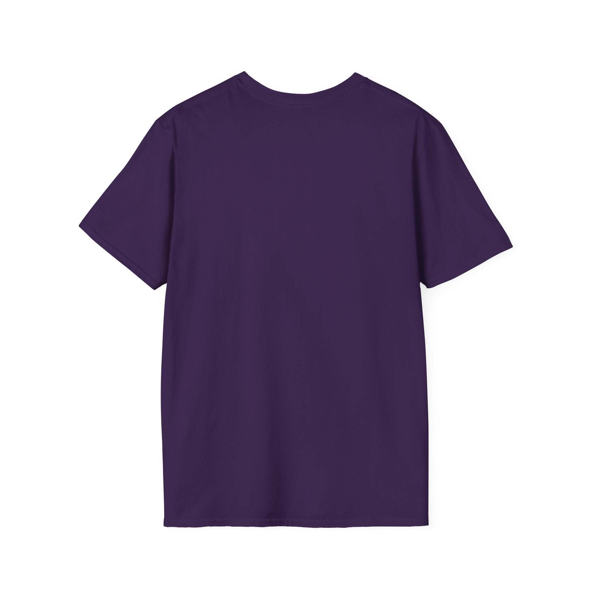 Summer Chill Ice Cream T-Shirt, Unisex Softstyle Tee, Cute Graphic Shirt