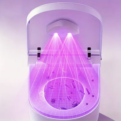 Toilet UV Disinfectinant MSN E-Store UAE